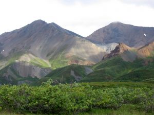 Cottonwood6