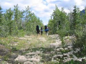 CottonwoodTrail2