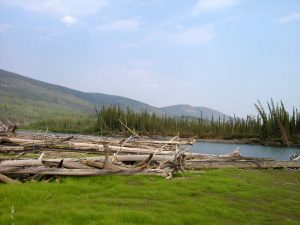 DSCF0715 1