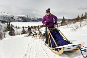 Dogsledding1