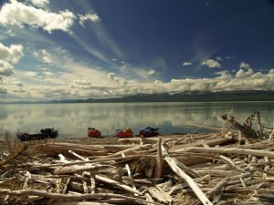 DriftWood