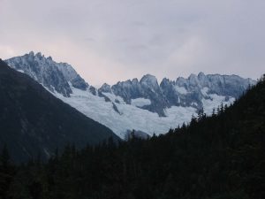 IMG 5267