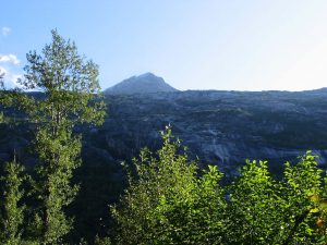 IMG 5268