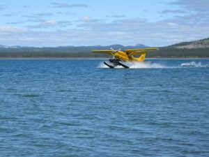 IMG 9876