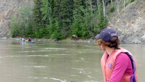 Moosecanoe2