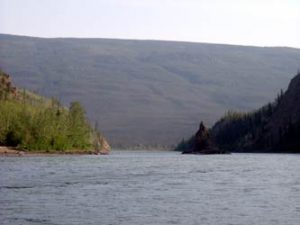 NeedleRock 1