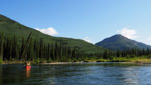 P8031100 big salmon river canoeing yukon