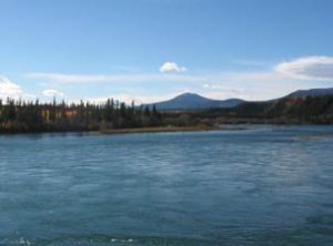 YukonWh