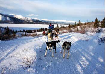 Yukon Husky-Abenteuertour