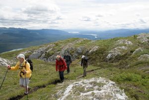 GreyMountain yukon heli hike