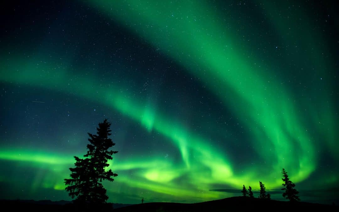 Aurora Experience